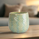 Pure (Fragrance Free)