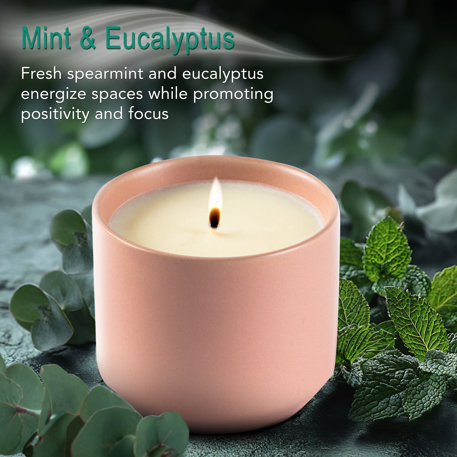 Mint & Eucalyptus