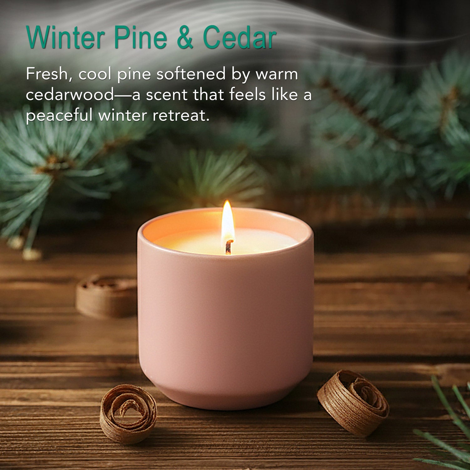 Winter Pine & Cedar