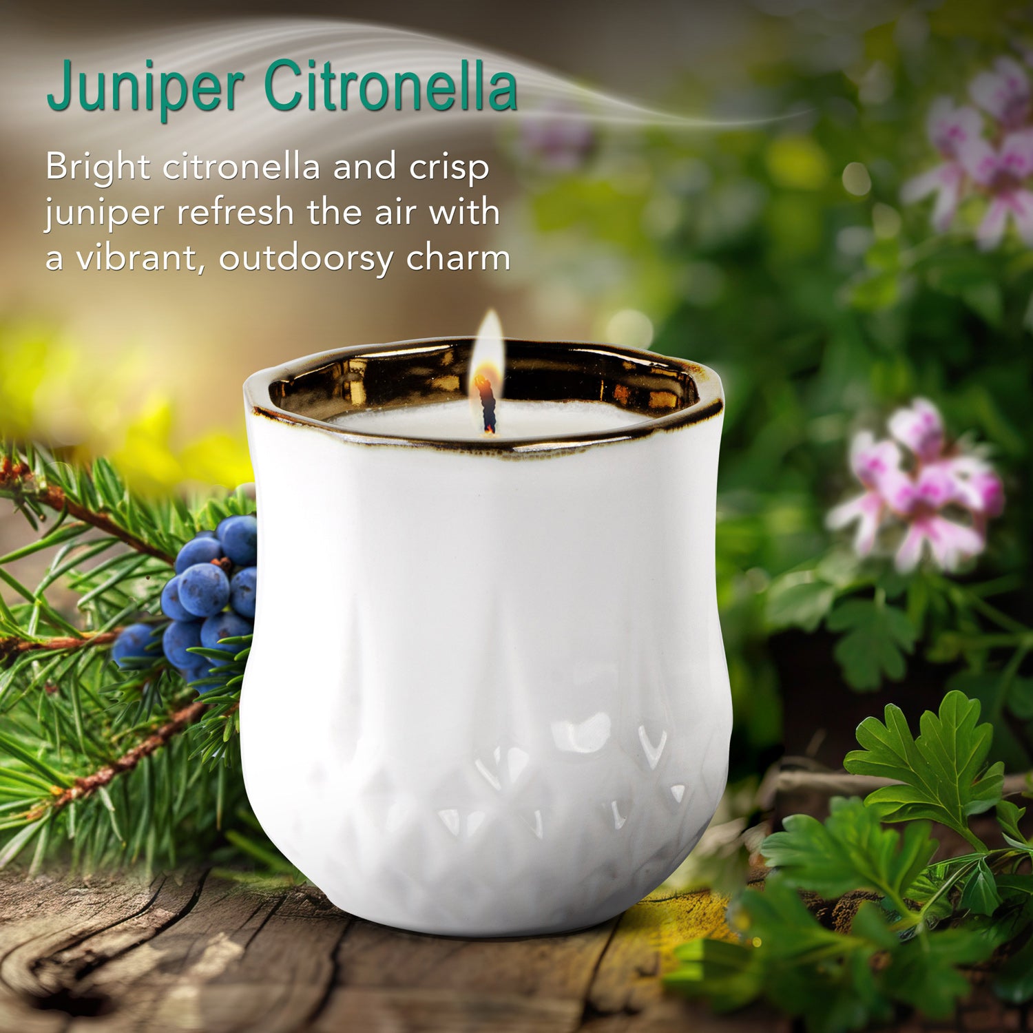 Juniper Citronella