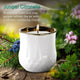 Juniper Citronella