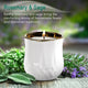 Rosemary & Sage