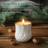 Winter Pine & Cedar