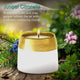 Juniper Citronella