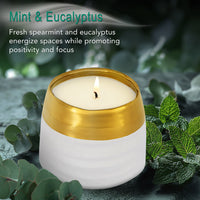 Mint & Eucalyptus