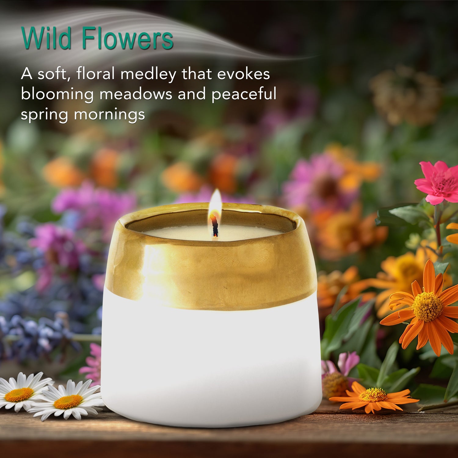 Wild Flowers