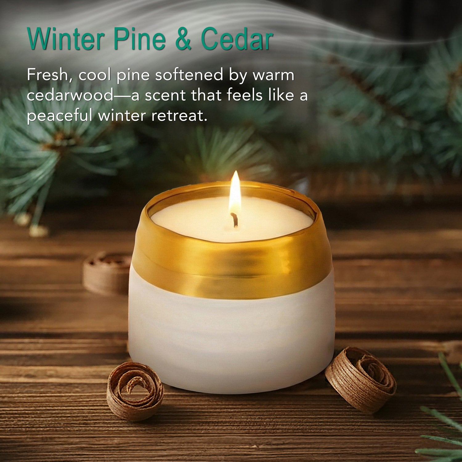 Winter Pine & Cedar