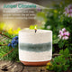 Juniper Citronella
