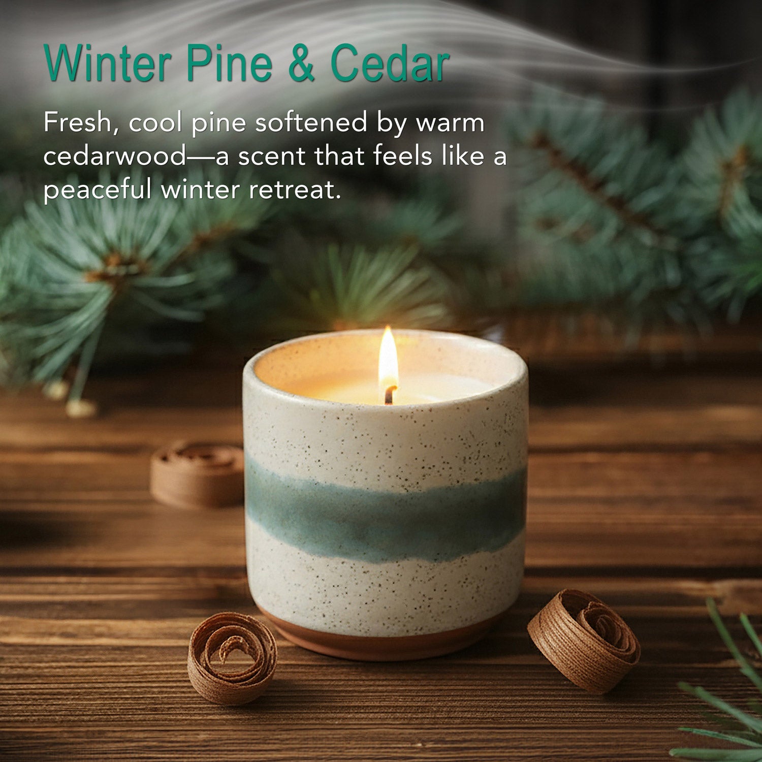 Winter Pine & Cedar