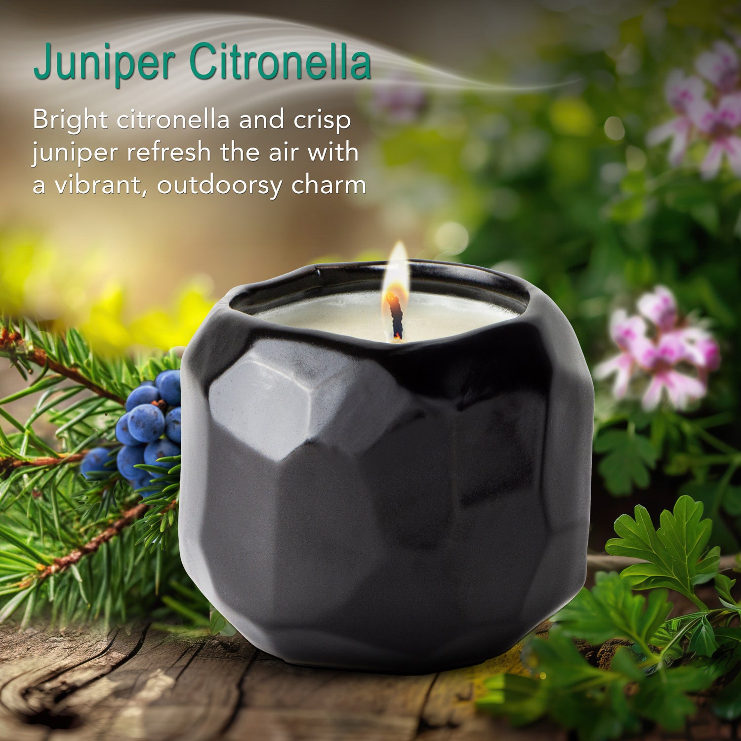 Juniper Citronella