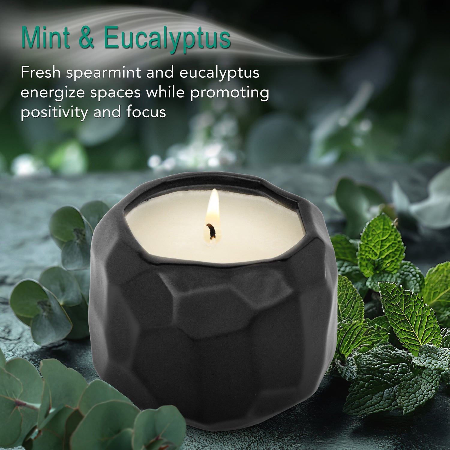 Mint & Eucalyptus