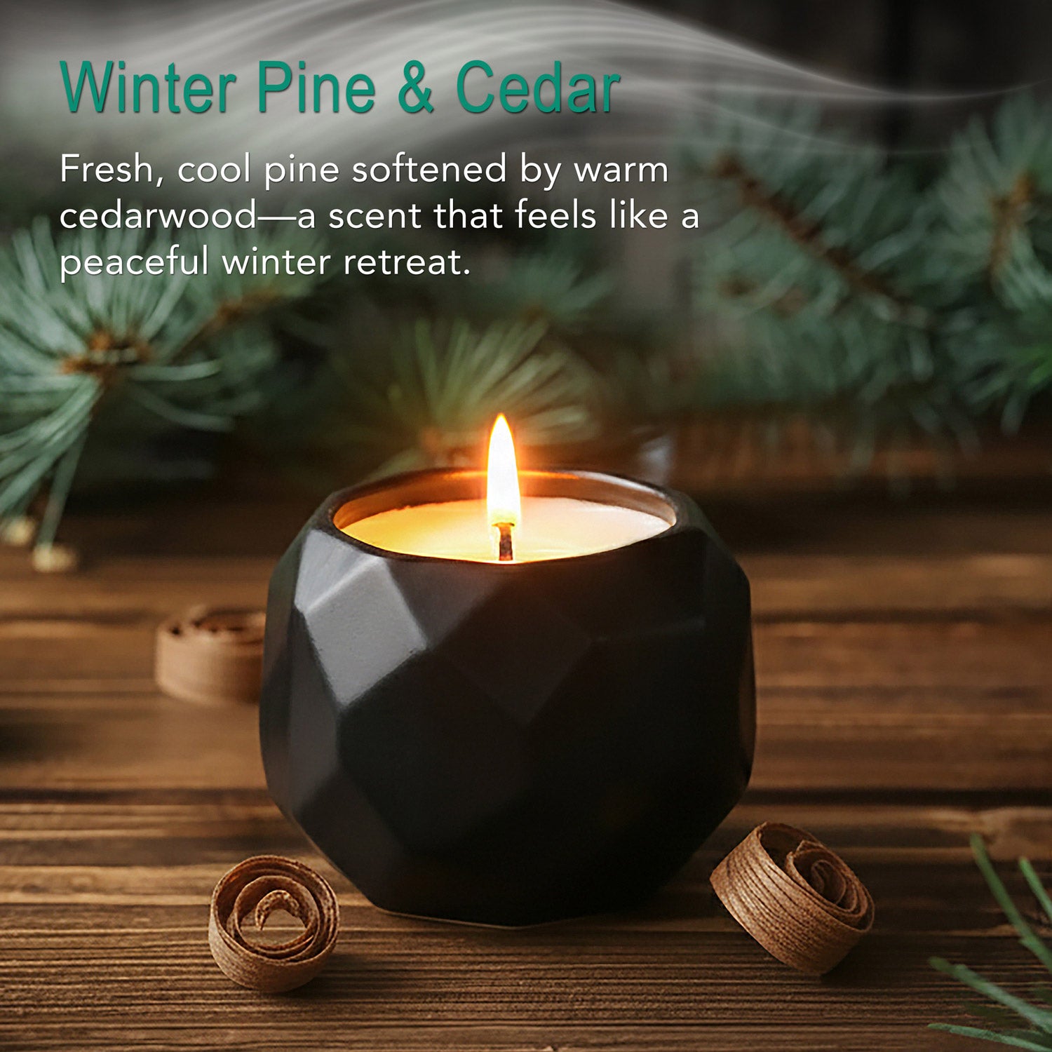 Winter Pine & Cedar