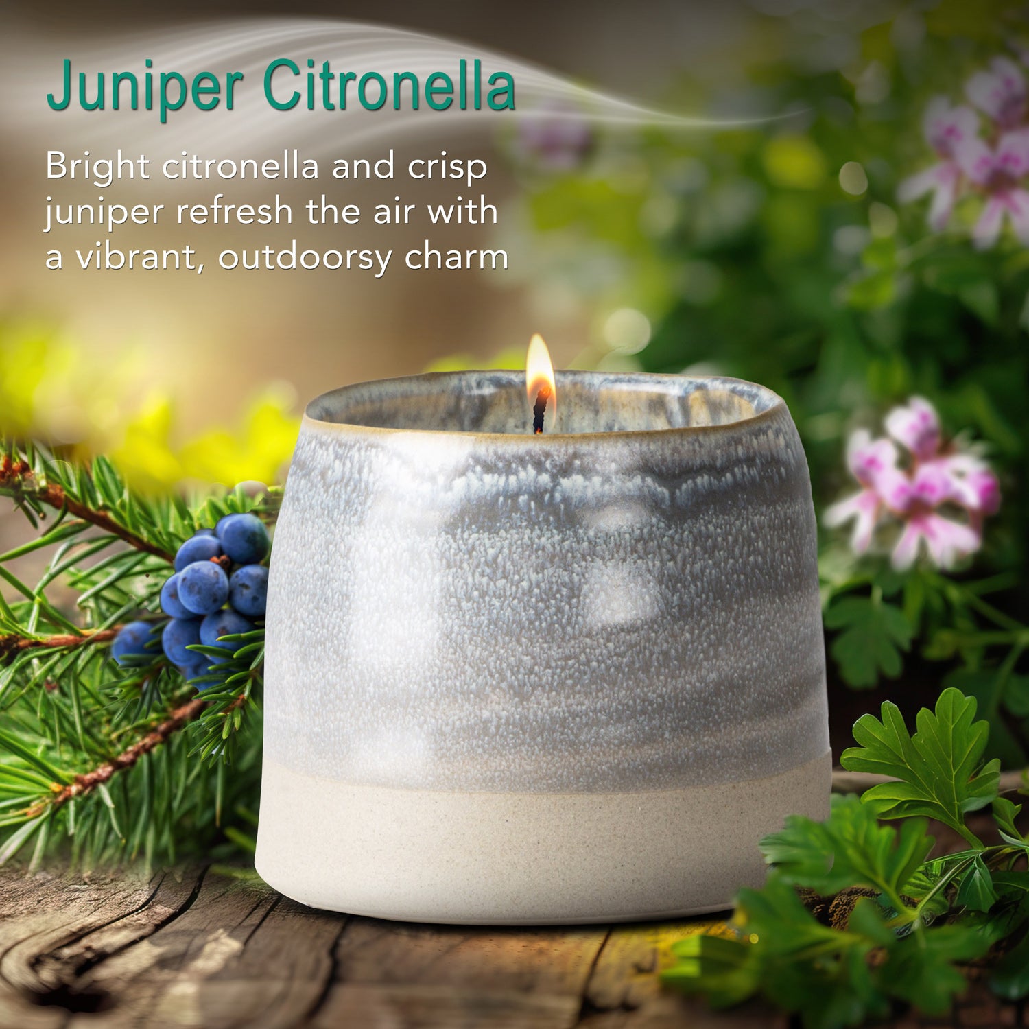 Juniper Citronella