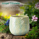 Juniper Citronella