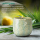 Lemongrass
