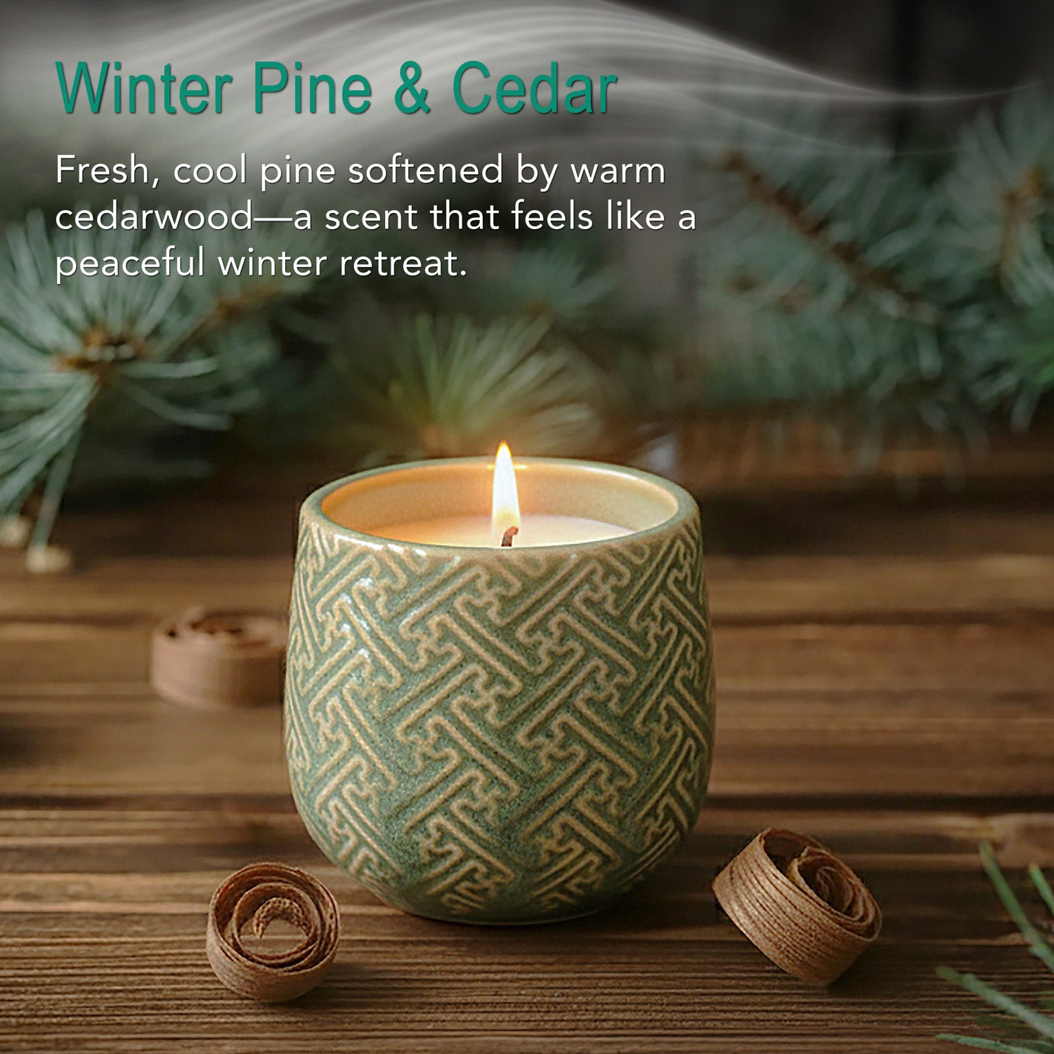 Winter Pine & Cedar