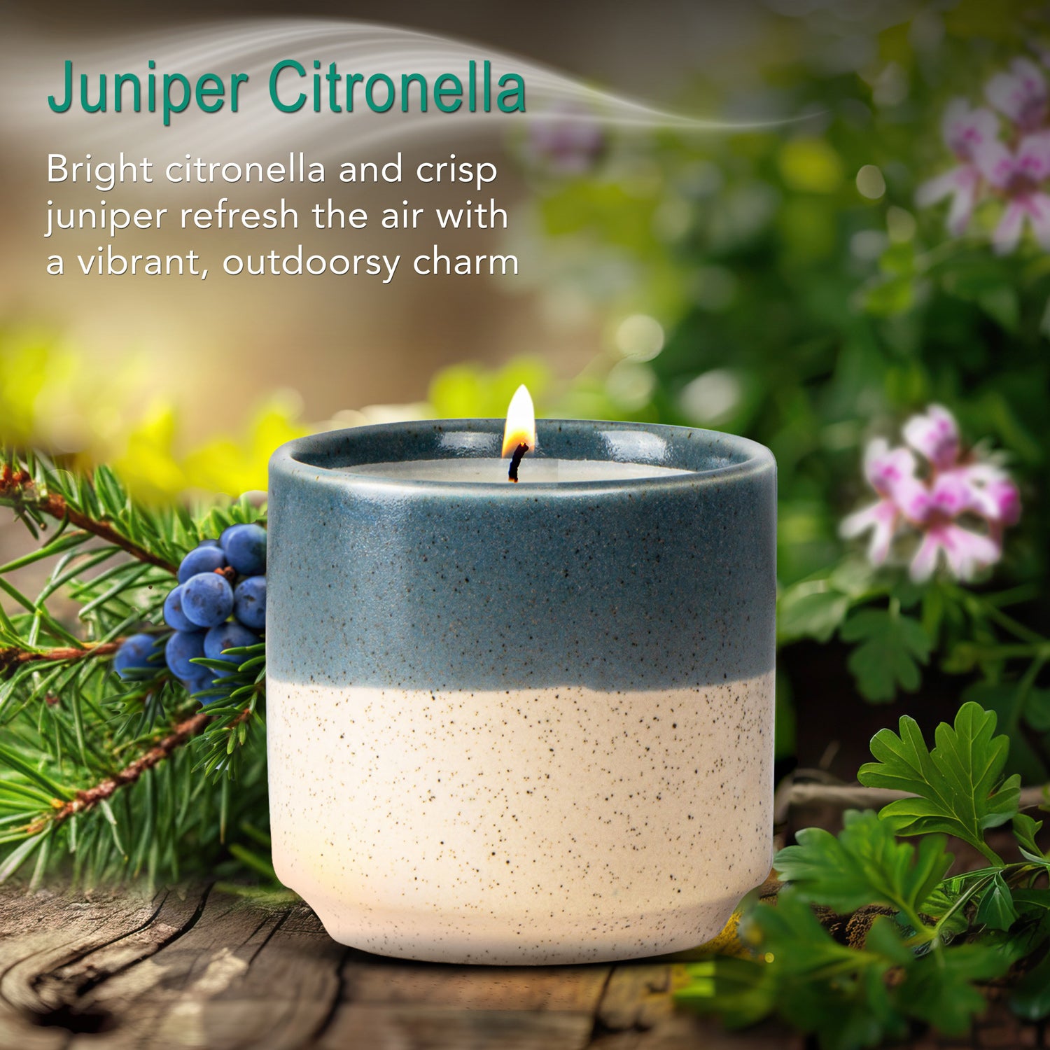 Juniper Citronella