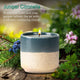 Juniper Citronella
