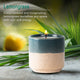 Lemongrass