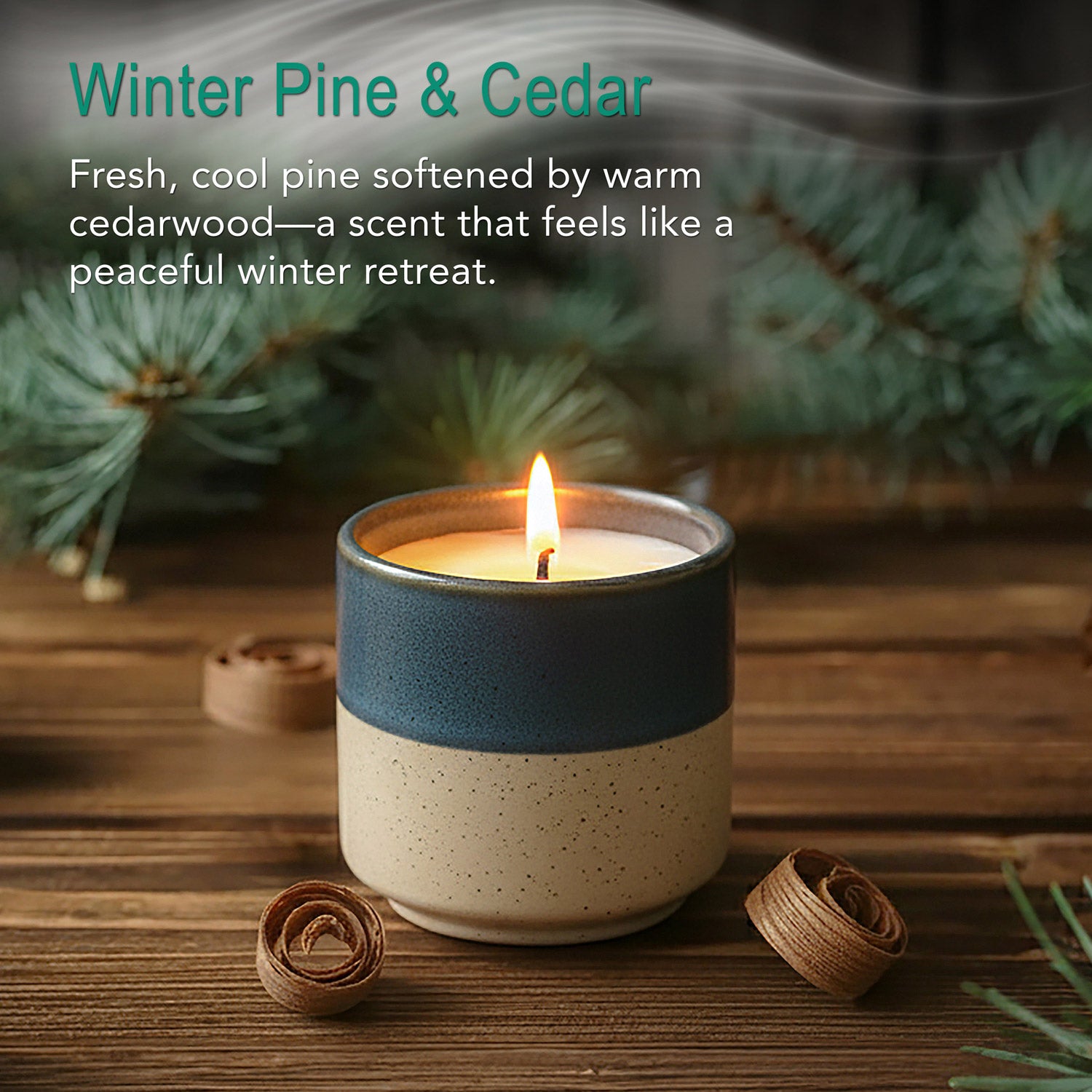 Winter Pine & Cedar
